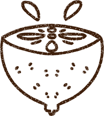 Bir insan tarafından çizilen yarım limon kömürü.