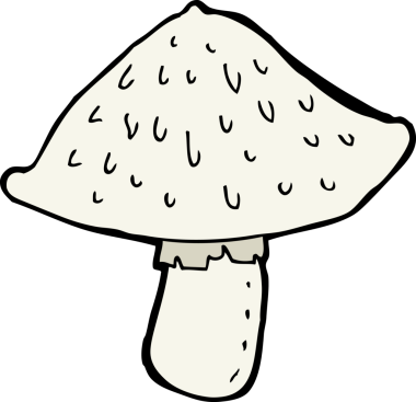 Bir insan tarafından çizilmiş vahşi mantarlar.