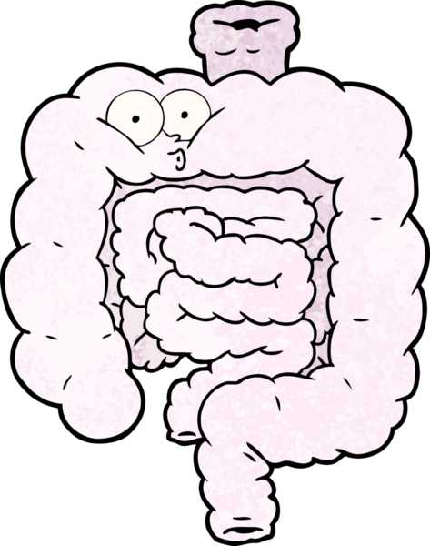 Bir insan tarafından çizilmiş bağırsaklar şaşırtıcıydı.