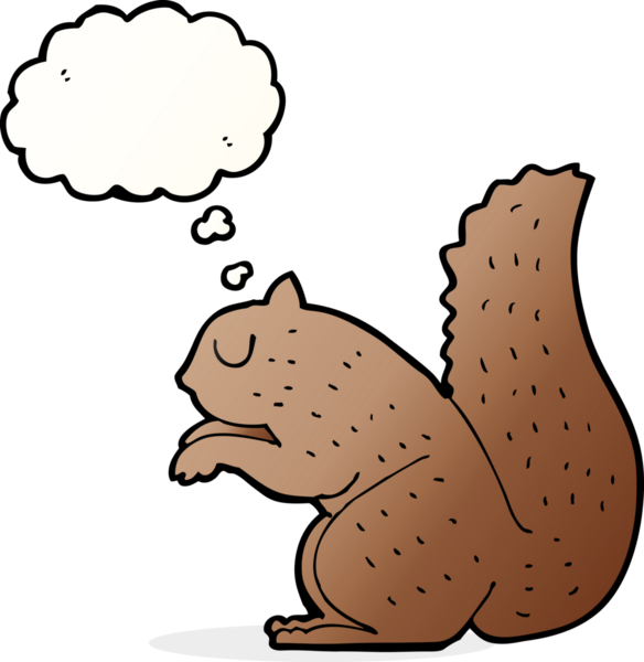 Bir insan tarafından çizilmiş düşünce baloncuklu bir sincap.
