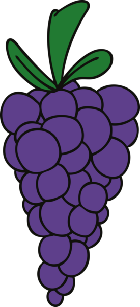 Bir insan tarafından çizilmiş garip bir üzüm demeti.