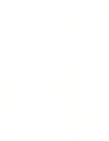 Bir insan tarafından çizilen sazlıklar.