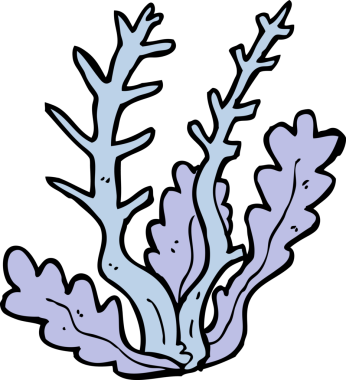 Bir insan tarafından çizilmiş karton deniz yosunu.