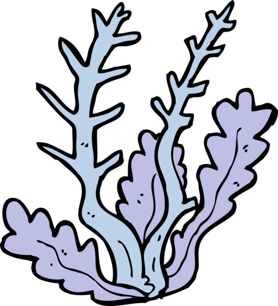 Bir insan tarafından çizilmiş karton deniz yosunu.