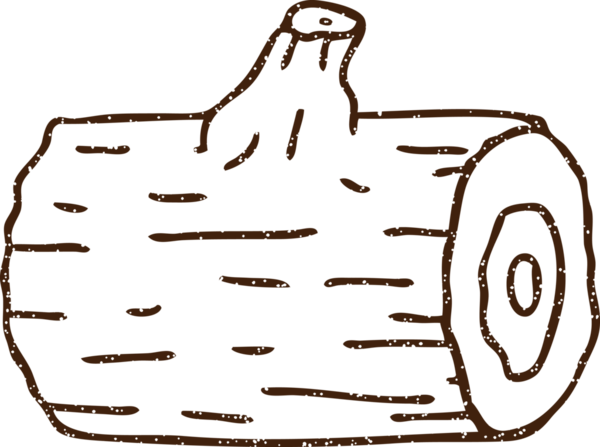 Bir insan tarafından çizilmiş günlük kömürü çizimi