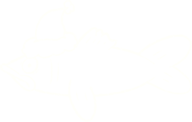 Bir insan tarafından çizilen balık tebeşiri.