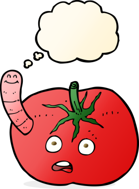 insan tarafından çizilmiş düşünce baloncuklu solucanlı domates.