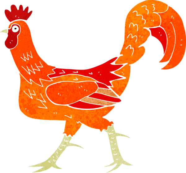 Bir insan tarafından çizilmiş bir horoz resmi.