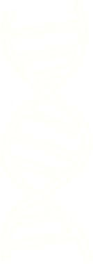 Bir insan tarafından çizilen DNA Strand Tebeşiri