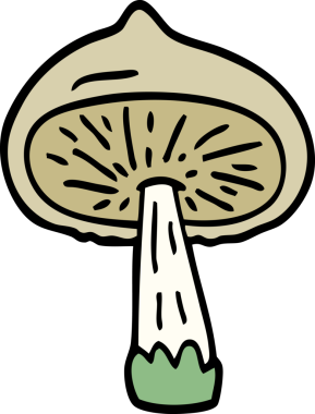 Bir insan tarafından çizilmiş karalama mantarı.