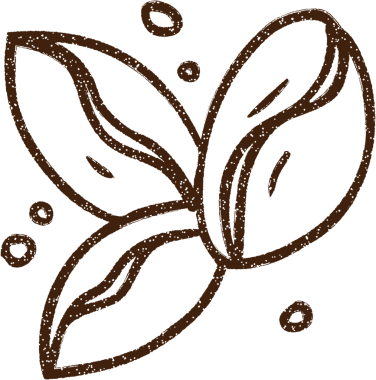 Bir insan tarafından çizilmiş kahve çekirdeği kömürü.