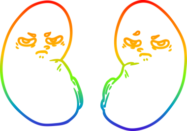 Bir insan tarafından çizilmiş tahriş edilmiş böbreklerin çizimi.