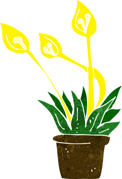 bir insan tarafından çizilmiş çizgi film orkidesi