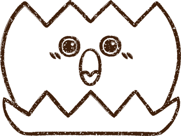 Bir insan tarafından çizilmiş su zambağı kömürü.