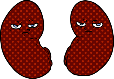 Bir insan tarafından çizilmiş tahriş edilmiş böbrekler.