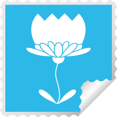 Bir insan tarafından çizilmiş bir çiçeğin kabuk soyucu karikatürü.