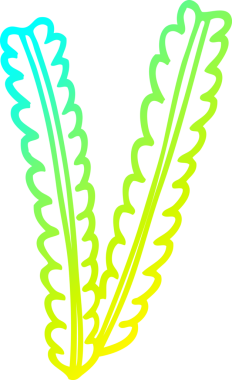 Bir insanın çizdiği buğday çizgilerinin soğuk gradyan çizgisi.