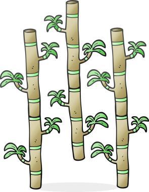 Bir insan tarafından çizilmiş serbest çizim bambu.