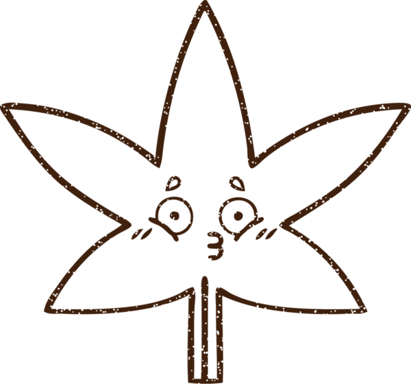 Bir insan tarafından çizilmiş marihuana yaprağı kömürü.