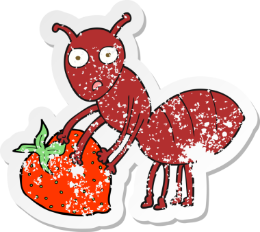 Bir insan tarafından çizilmiş böğürtlenli karınca etiketi.