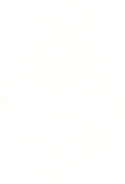 Bir insan tarafından çizilmiş Üzüm Tebeşiri