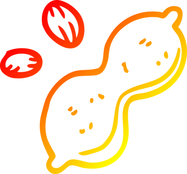 Bir insan tarafından çizilmiş bir karikatür fıstık ve kabuğun sıcak çizgi çizimi