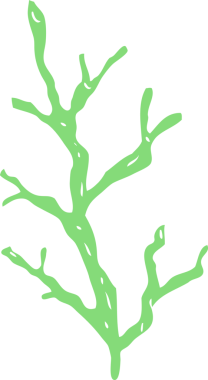 Bir insan tarafından çizilmiş deniz yosunlarının düz renk çizimi