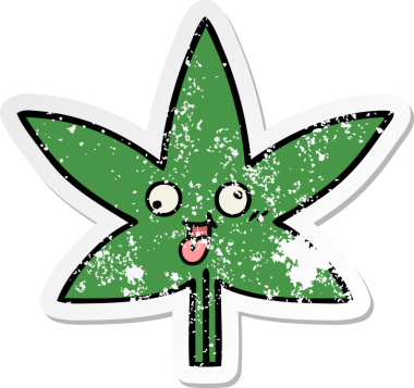 Bir insan tarafından çizilmiş marihuana yaprağının sıkıntılı çıkartması.