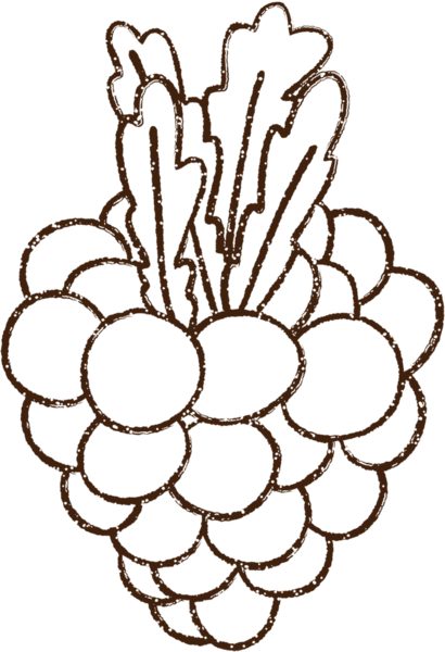 Bir insan tarafından çizilen böğürtlen kömürü