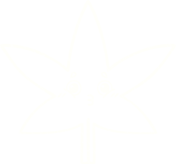 Bir insan tarafından çizilen Şaşkın Yaprak Tebeşiri