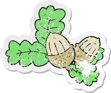 Çizgi film meşe palamudu ve bir insan tarafından çizilmiş yapraklar.