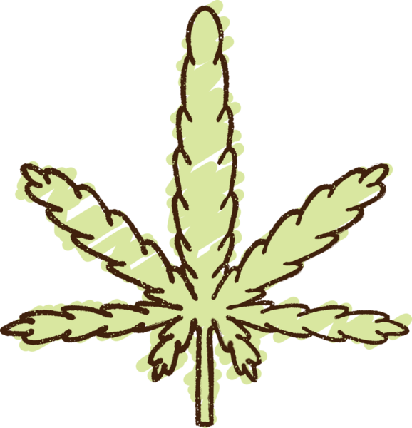Bir insan tarafından çizilmiş marihuana Yaprak Tebeşiri