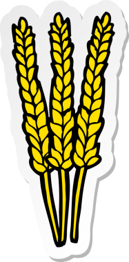 Bir insan tarafından çizilmiş mısırın çıkartması.