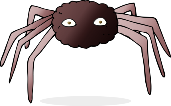 bir insan tarafından çizilmiş çizgi film örümceği