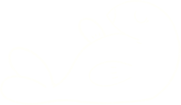 Bir insan tarafından çizilen Chalk resmini mühürle