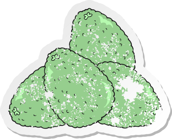 Bir insan tarafından çizilmiş avokado çizgi filminin gerilimli yapıştırması.