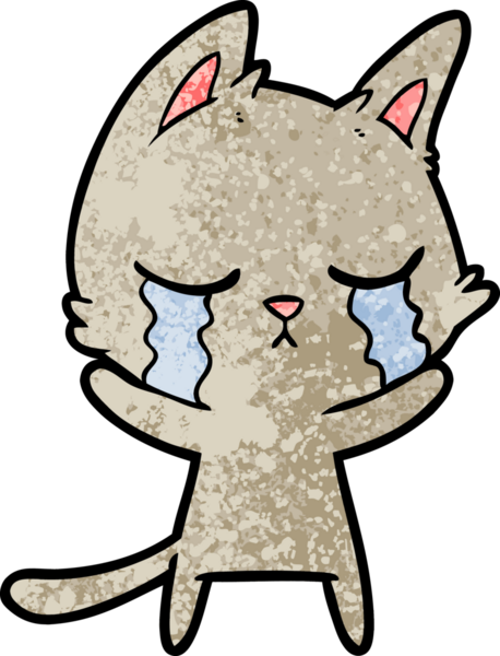 Bir insan tarafından çizilmiş ağlayan çizgi film kedisi.