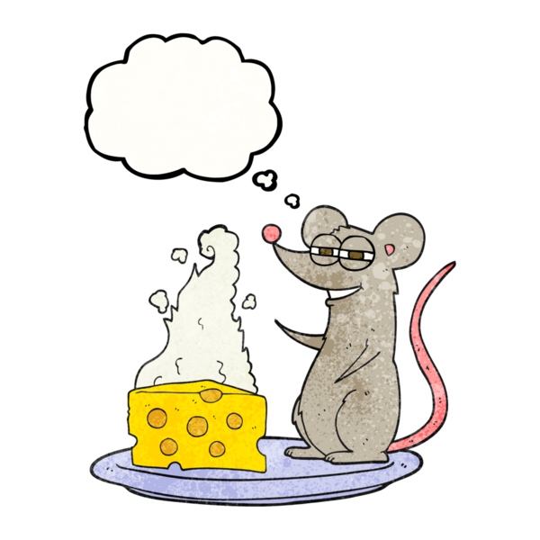 El yazısıyla çizilmiş düşünce kabarcığı bir insan tarafından çizilmiş peynirli çizgi film faresi.