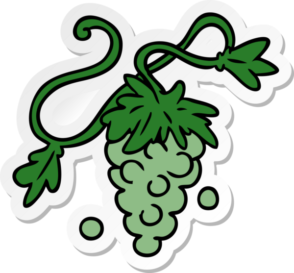 Bir insan tarafından asmaya çizilmiş üzümlerin el çizimi karikatürü.