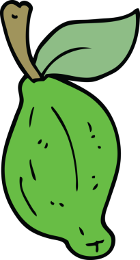 Bir insan tarafından çizilmiş karalama kireç meyvesi.