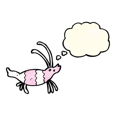 Bir insan tarafından çizilmiş düşünce baloncuklu karides.