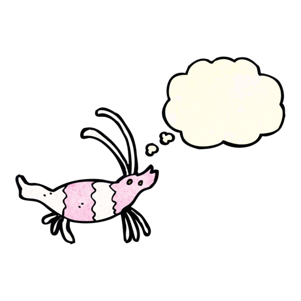 Bir insan tarafından çizilmiş düşünce baloncuklu karides.