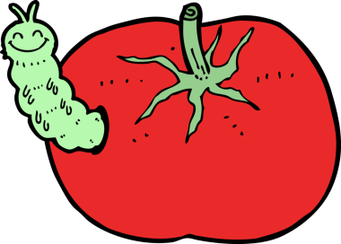 Bir insan tarafından çizilmiş böcekli domates.