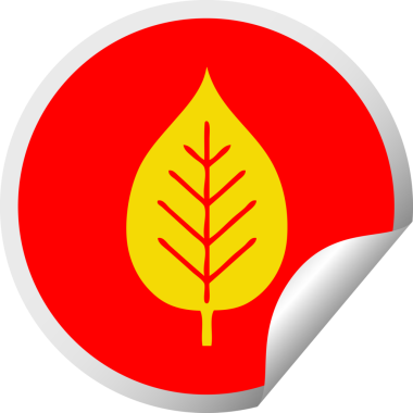 Bir insan tarafından çizilmiş yeşil yaprağın dairesel kabuk soyma etiketi.