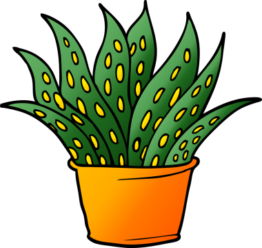 Bir insan tarafından çizilmiş karalama evi bitkisi.