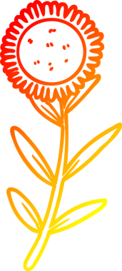 Bir insan tarafından çizilmiş bir ayçiçeğinin sıcak çizgi çizimi