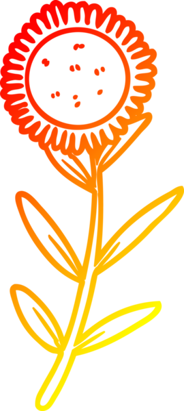 Bir insan tarafından çizilmiş bir ayçiçeğinin sıcak çizgi çizimi