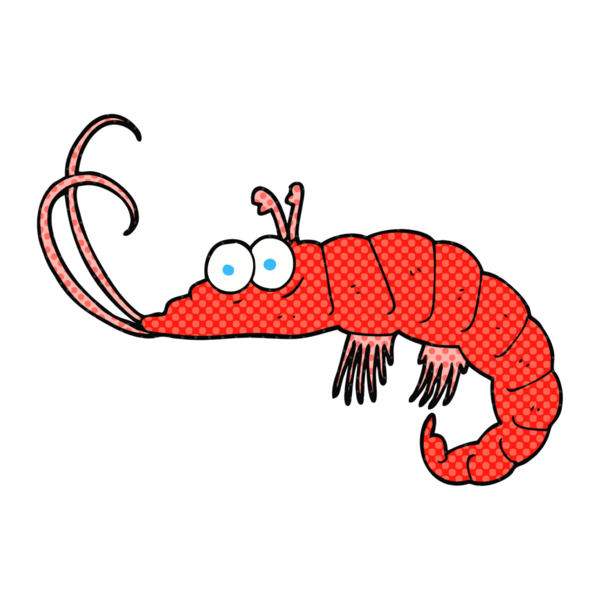 Bir insan tarafından çizilmiş karides çizimi.