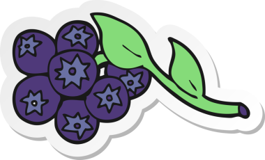 Bir insan tarafından çizilmiş bir karikatür yaban mersini çıkartması.