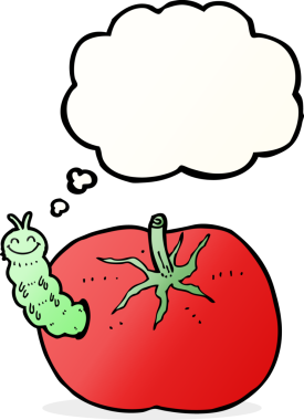 Bir insan tarafından çizilmiş düşünce baloncuklu bir domates.